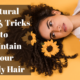 Natural Tips & Tricks to Maintain Your Curly Hair